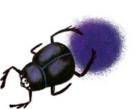 Escarabajo de Egipto libro ilustrado niños La momia Apis